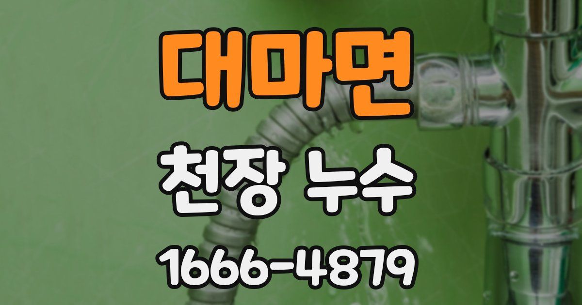 대마면 천장 누수