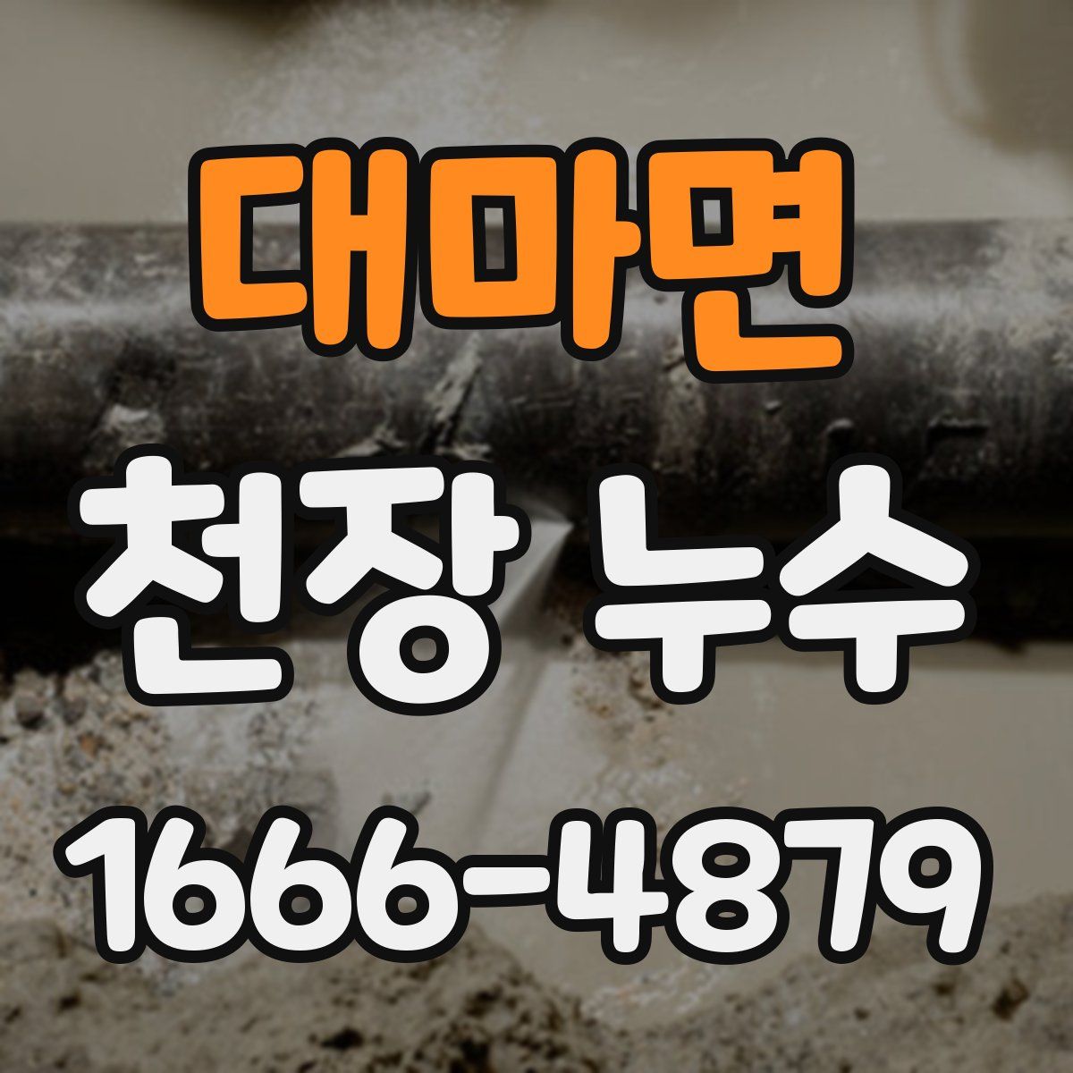 대마면 천장 누수