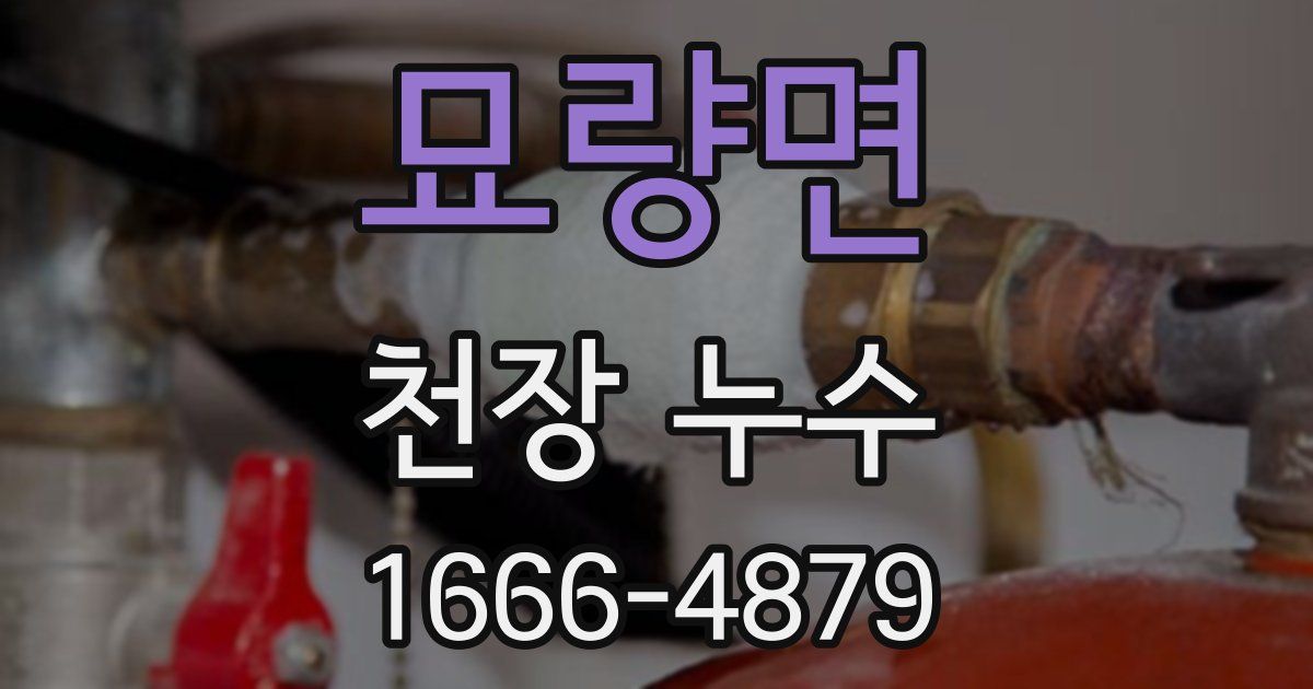 묘량면 천장 누수