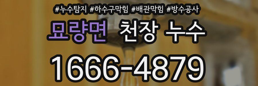 묘량면 천장 누수