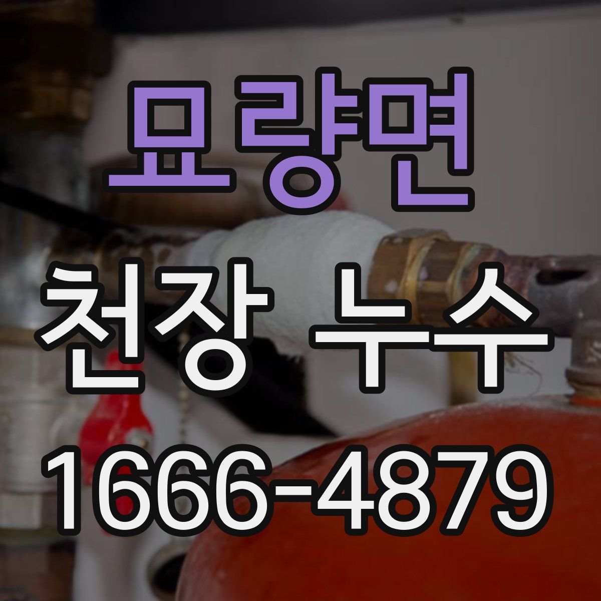 묘량면 천장 누수