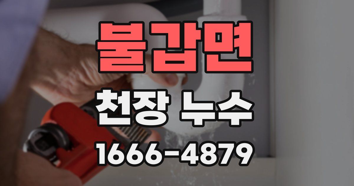 불갑면 천장 누수