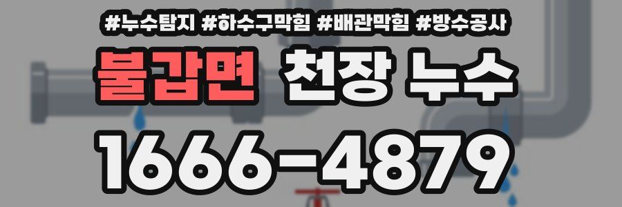 불갑면 천장 누수