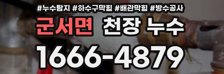 군서면 천장 누수
