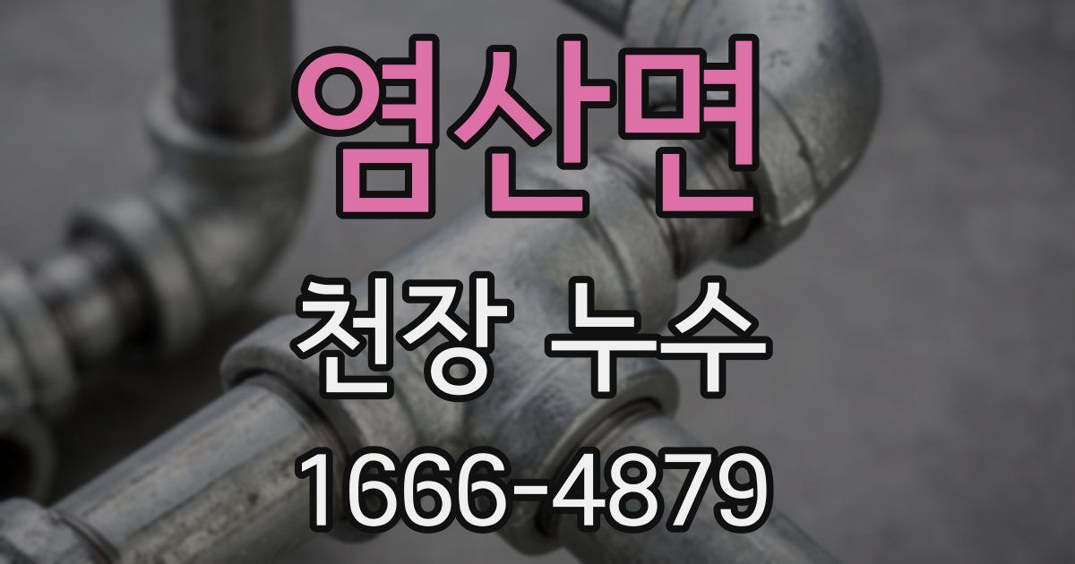 염산면 천장 누수