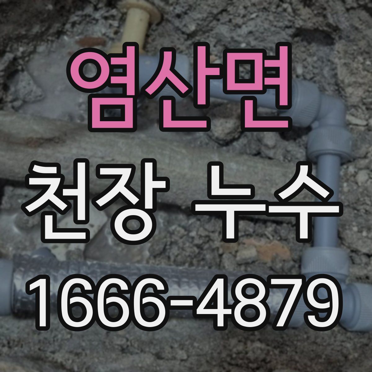 염산면 천장 누수