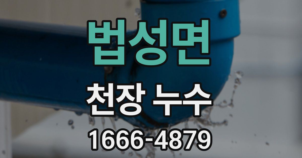 법성면 천장 누수