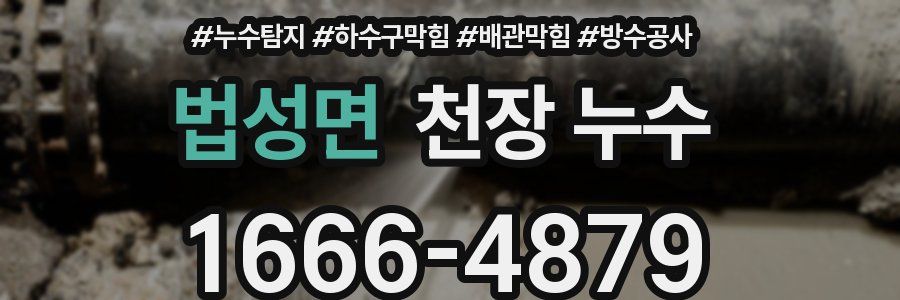 법성면 천장 누수