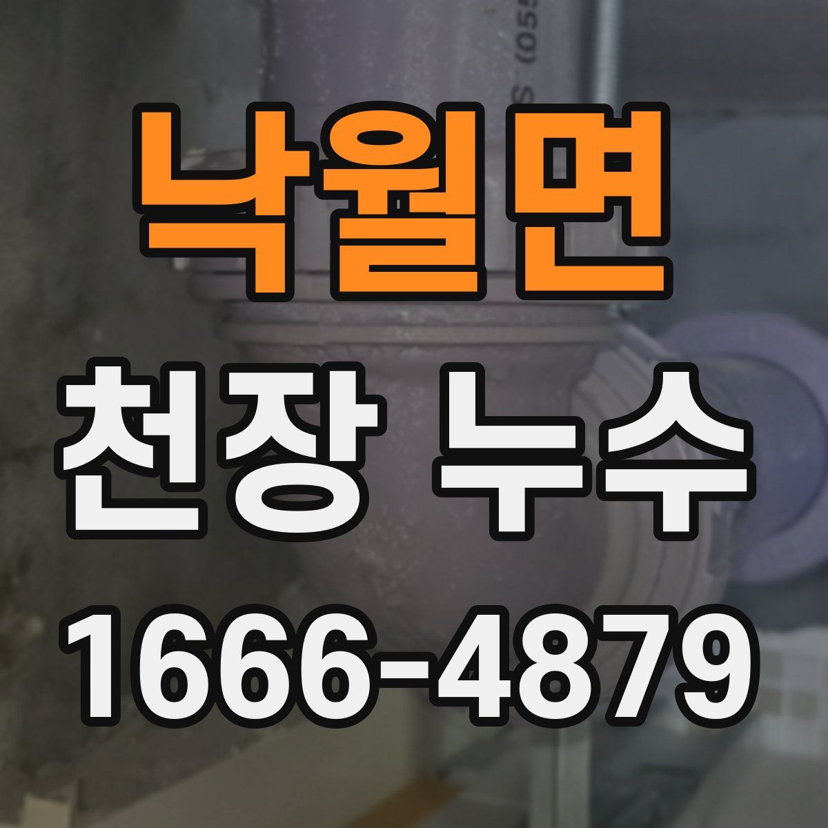 낙월면 천장 누수