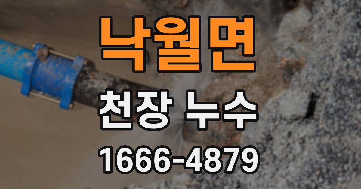 낙월면 천장 누수