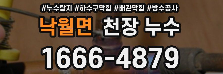 낙월면 천장 누수