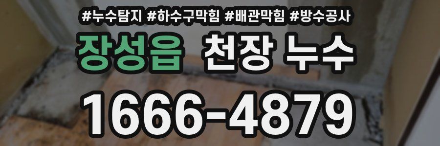 장성읍 천장 누수