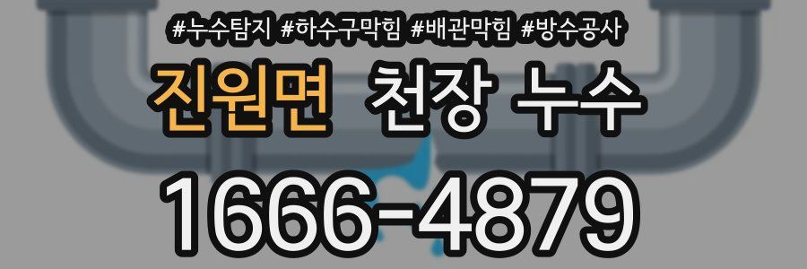 진원면 천장 누수