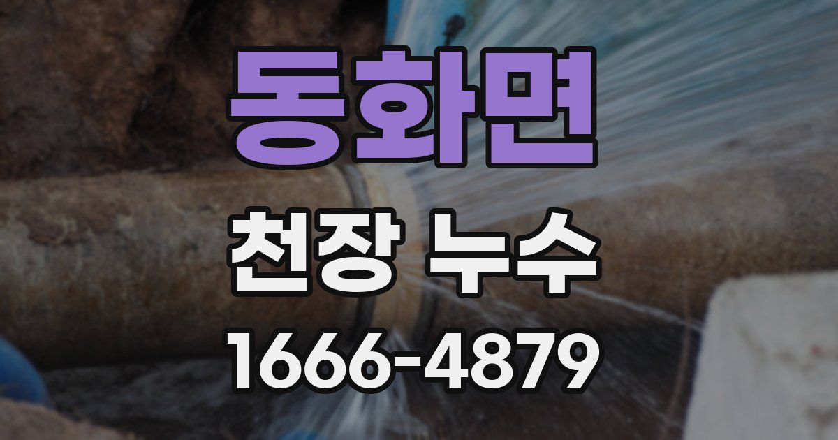 동화면 천장 누수