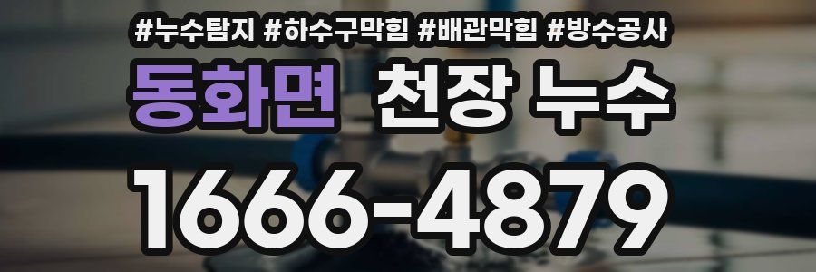 동화면 천장 누수