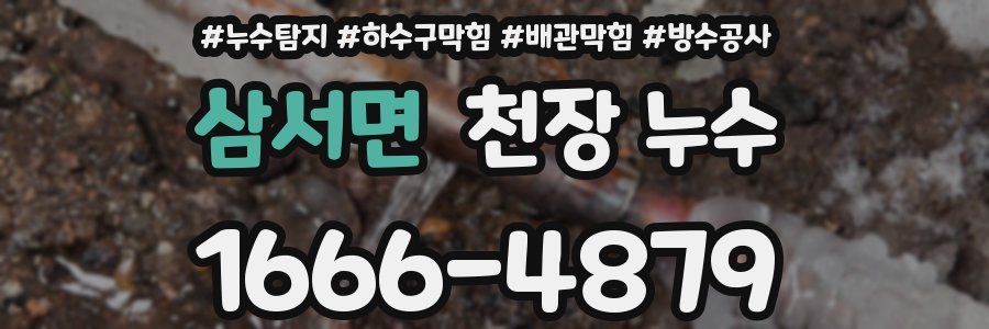 삼서면 천장 누수