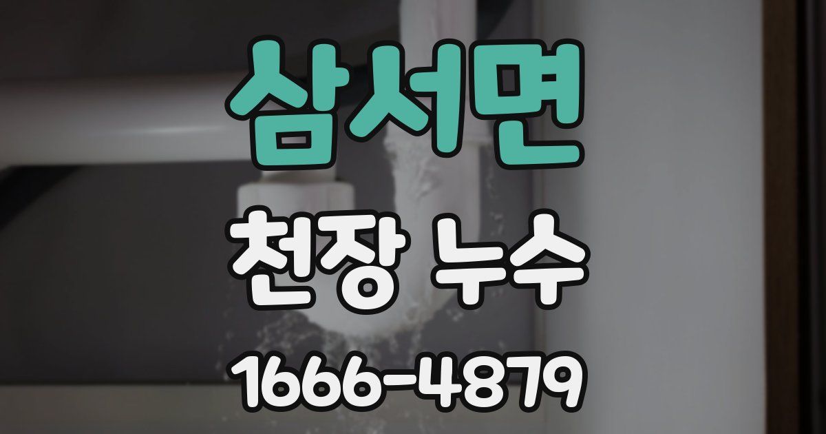 삼서면 천장 누수
