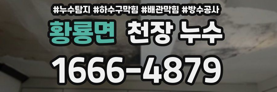 황룡면 천장 누수