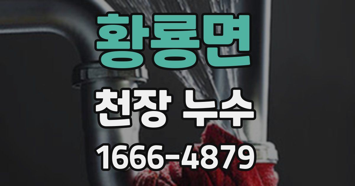 황룡면 천장 누수