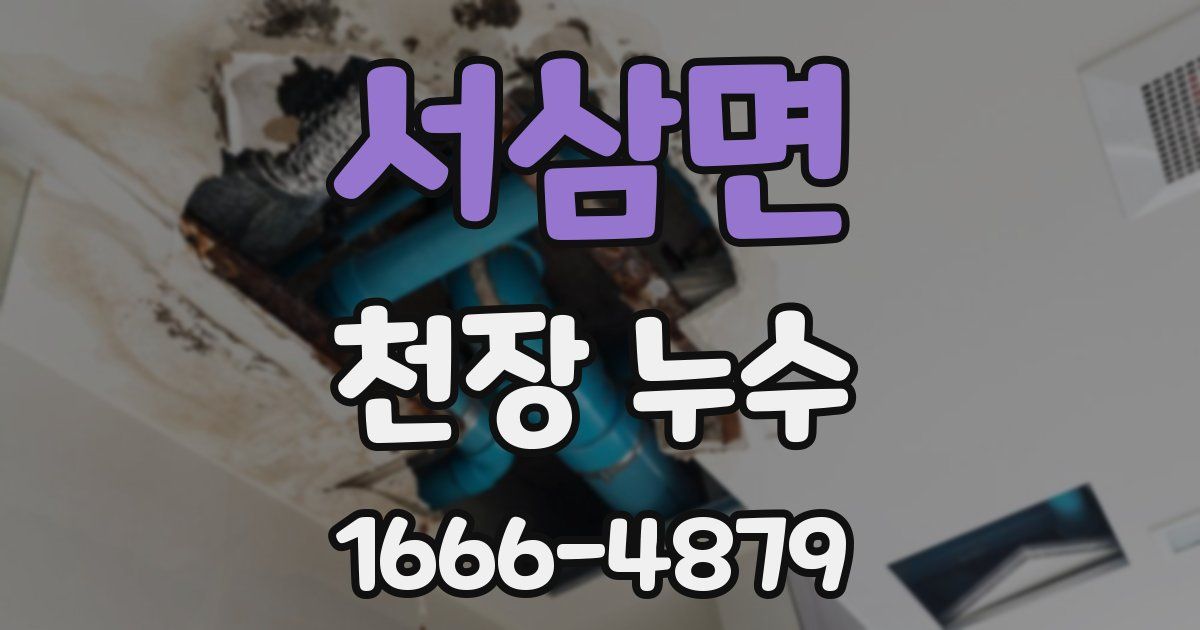 서삼면 천장 누수