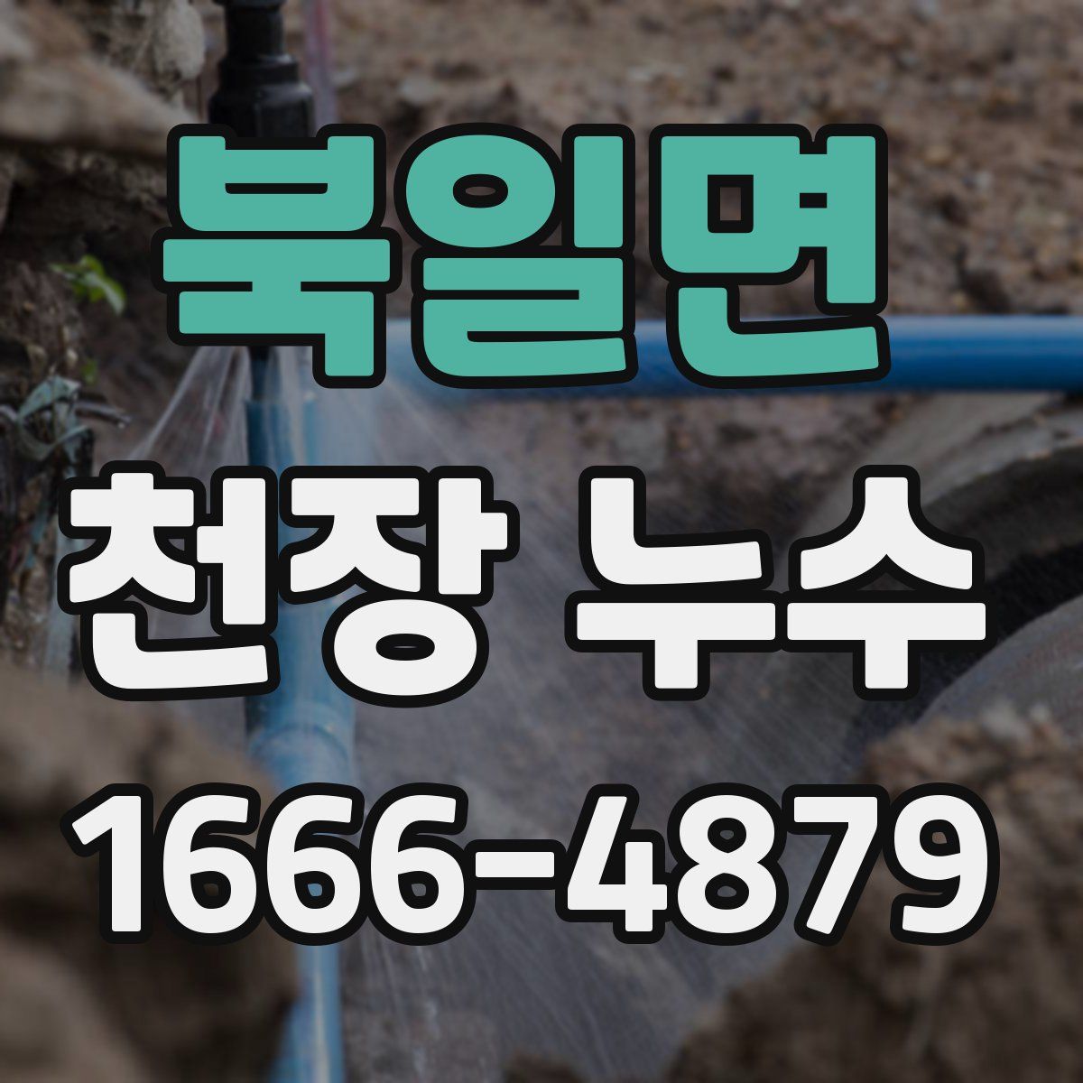 북일면 천장 누수