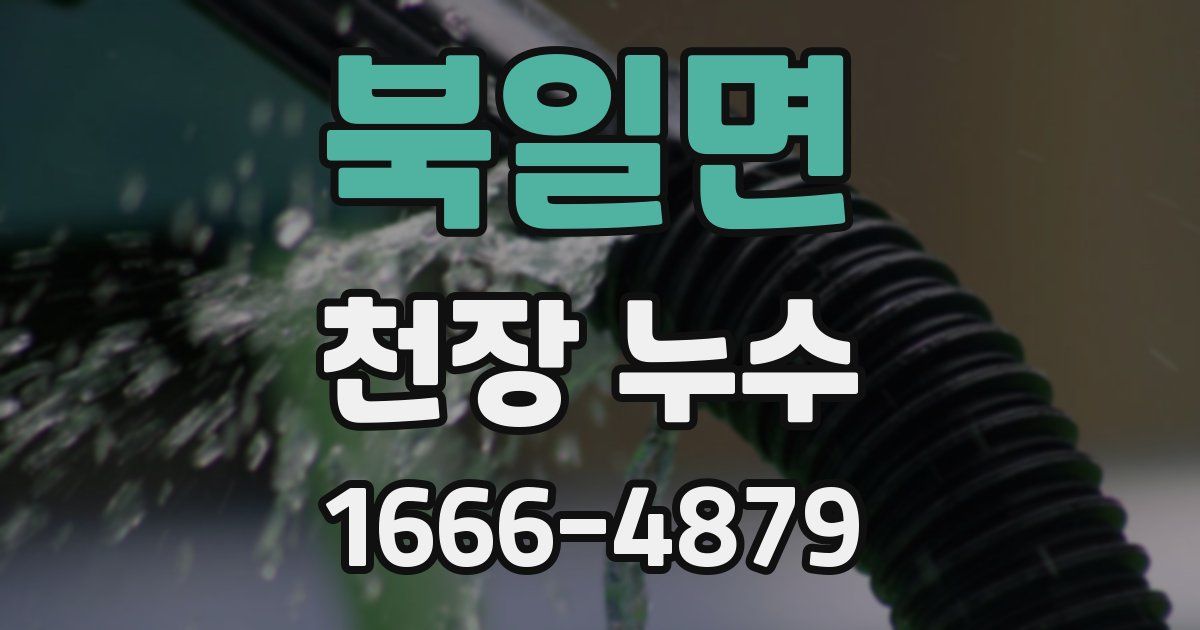 북일면 천장 누수