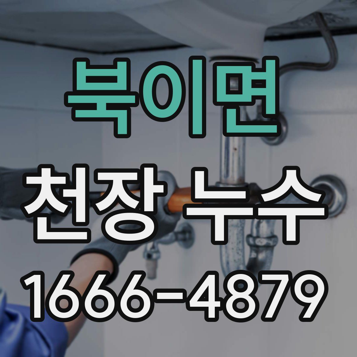 북이면 천장 누수