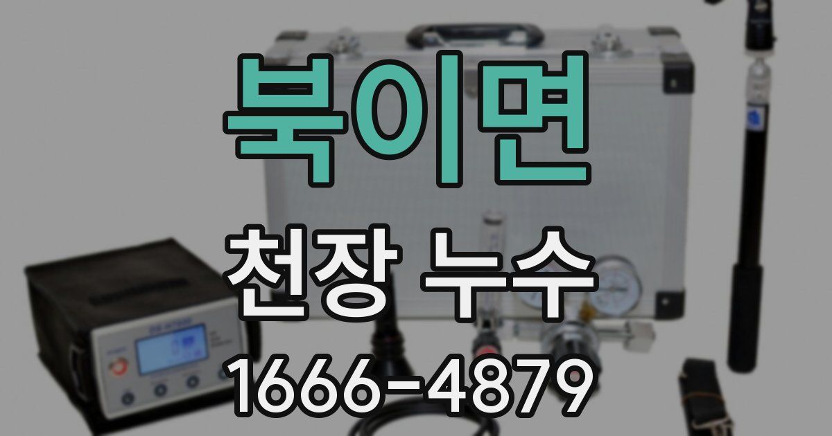 북이면 천장 누수