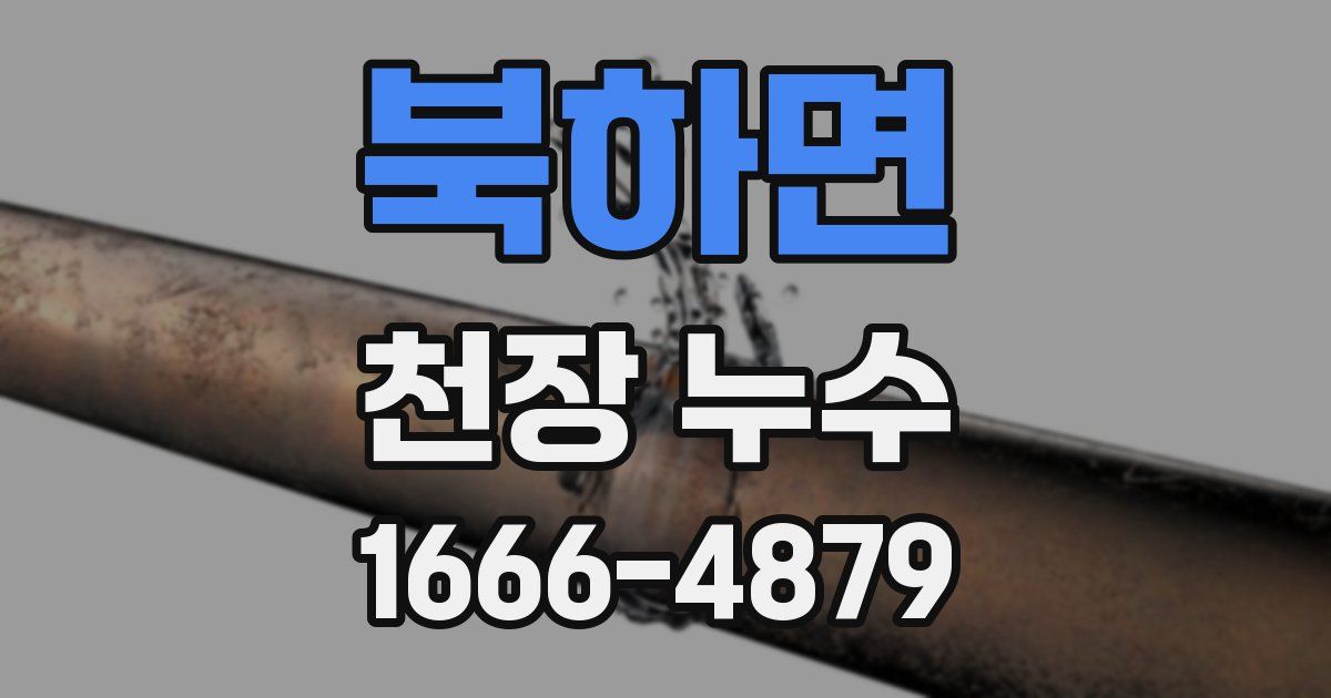 북하면 천장 누수
