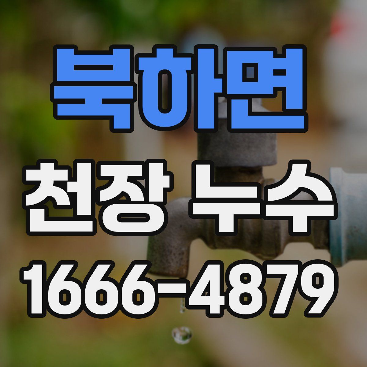 북하면 천장 누수