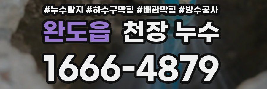 완도읍 천장 누수