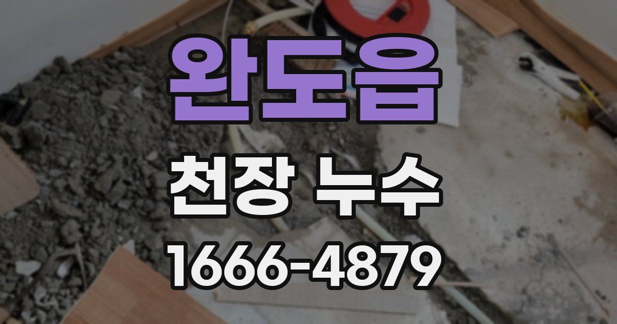 완도읍 천장 누수