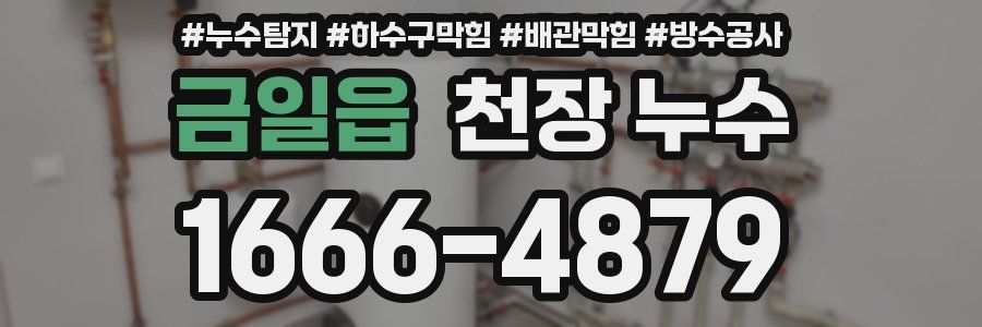 금일읍 천장 누수