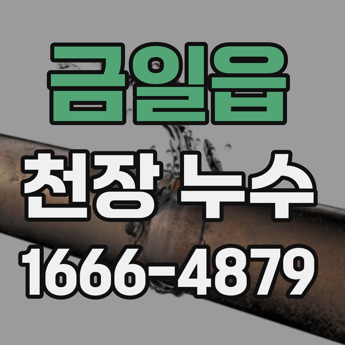 금일읍 천장 누수