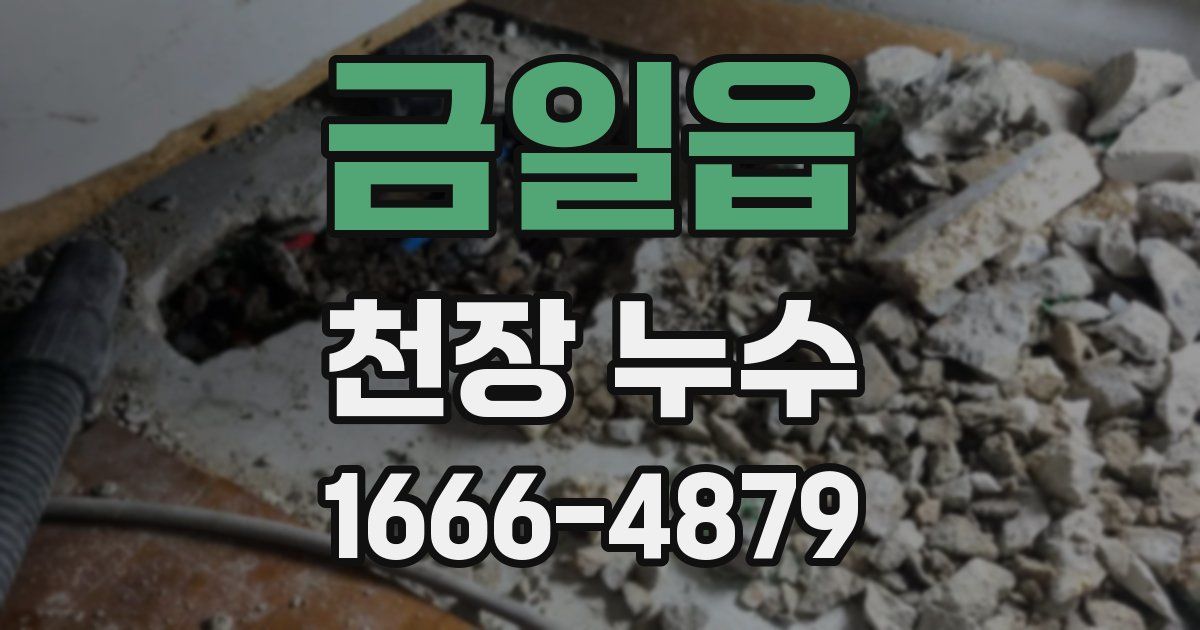 금일읍 천장 누수