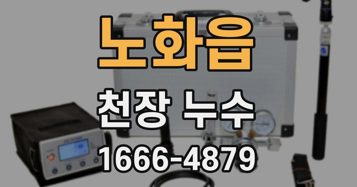 노화읍 천장 누수