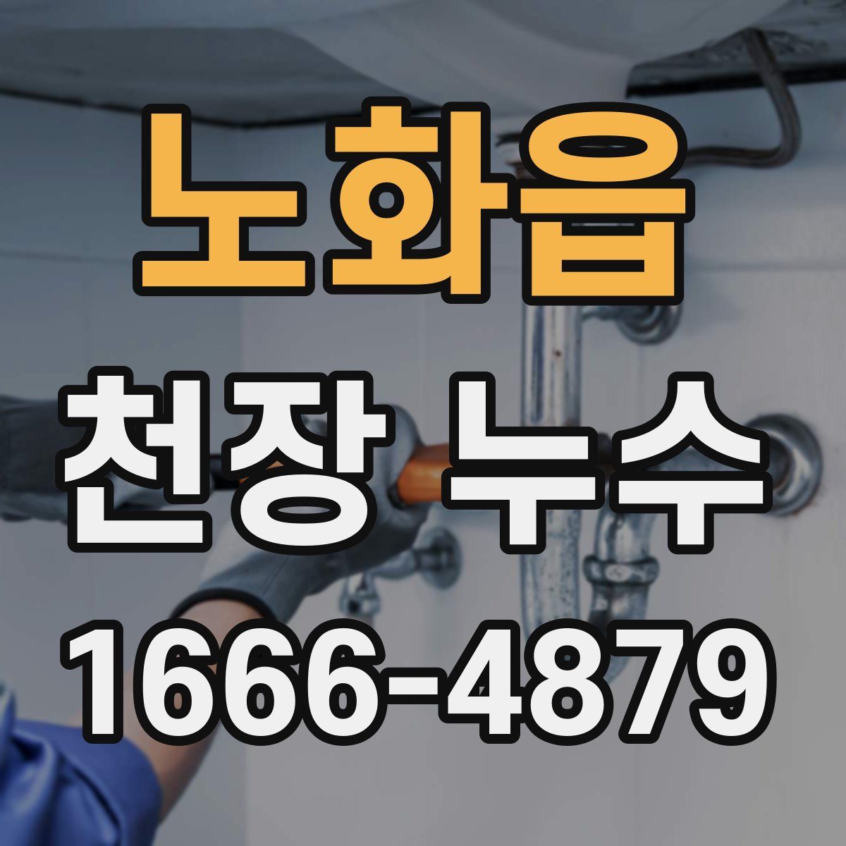 노화읍 천장 누수