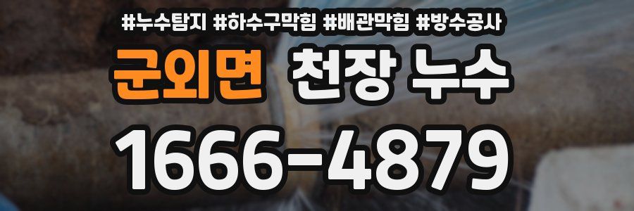 군외면 천장 누수