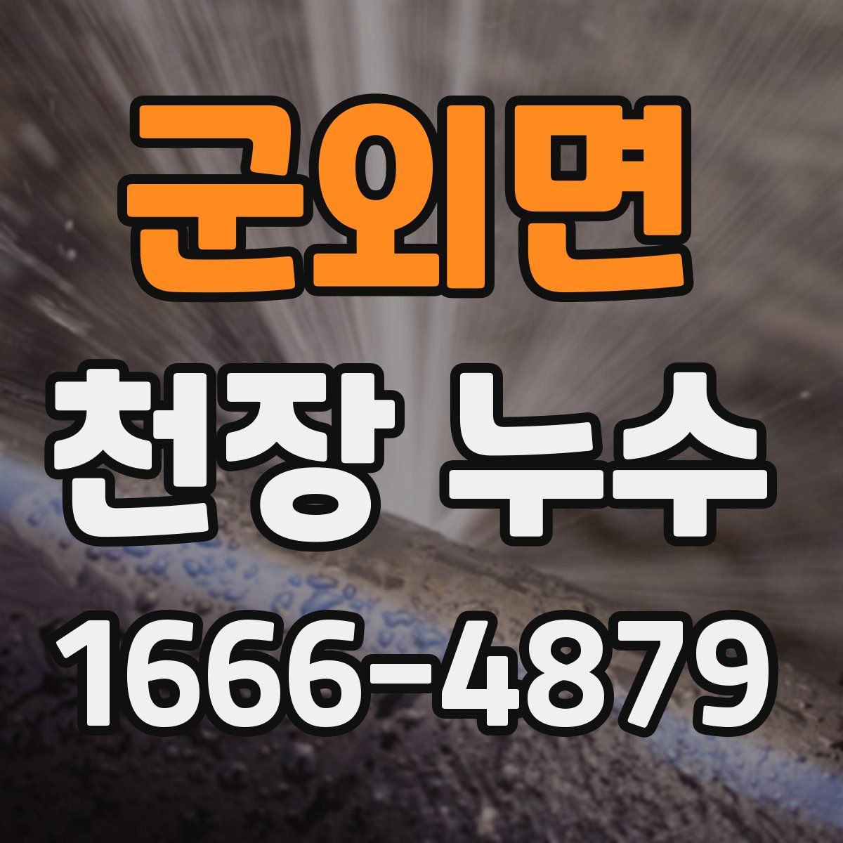 군외면 천장 누수
