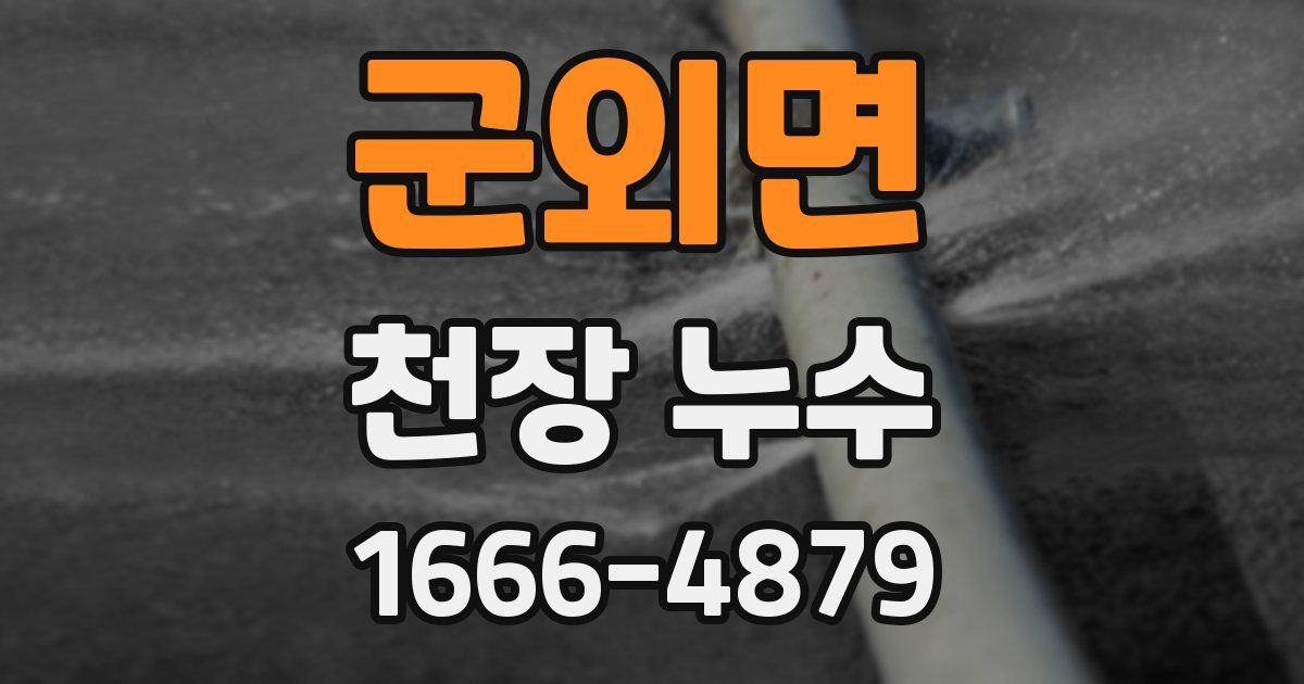 군외면 천장 누수