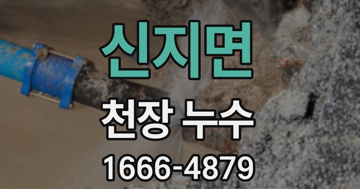 신지면 천장 누수