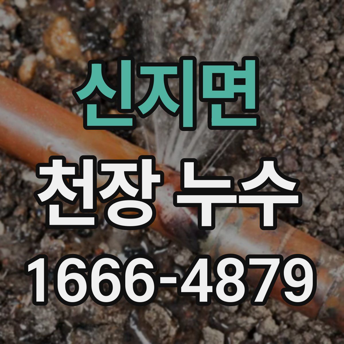 신지면 천장 누수