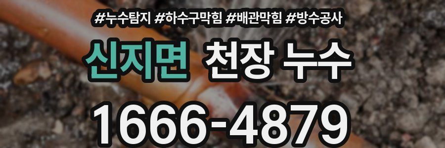 신지면 천장 누수