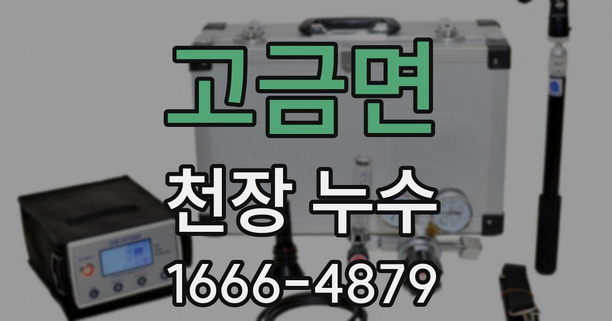 고금면 천장 누수