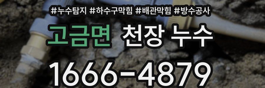 고금면 천장 누수