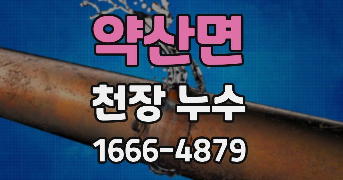 약산면 천장 누수
