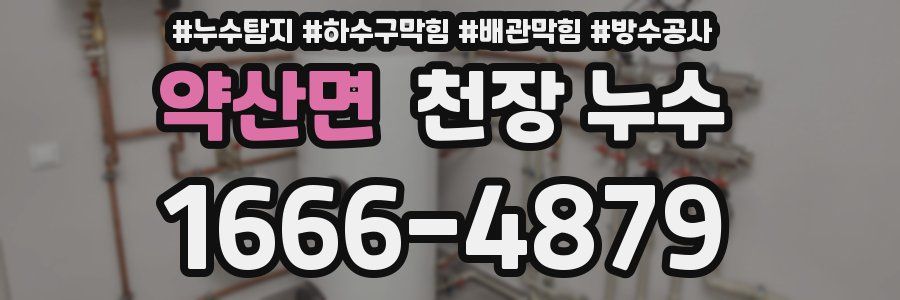 약산면 천장 누수