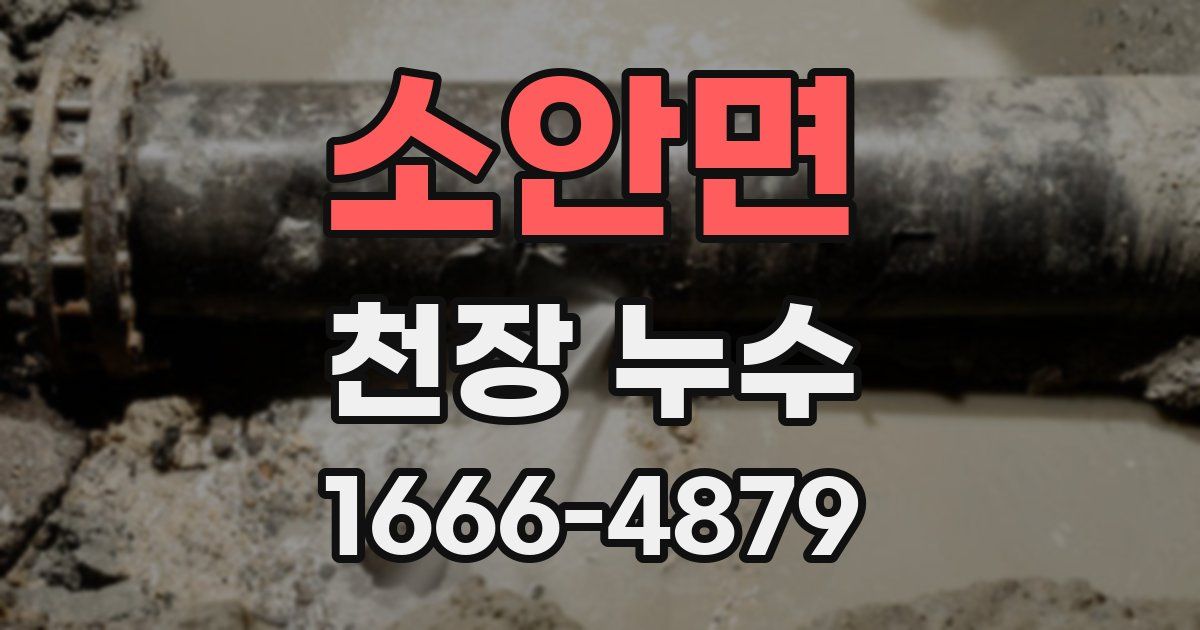 소안면 천장 누수