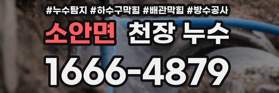 소안면 천장 누수