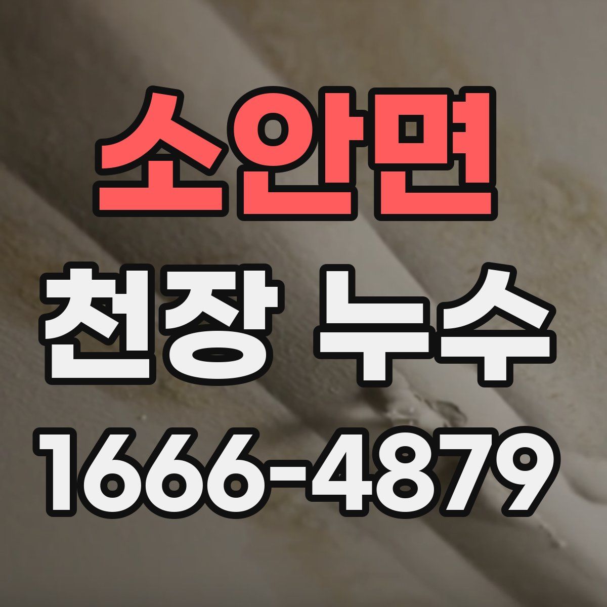 소안면 천장 누수